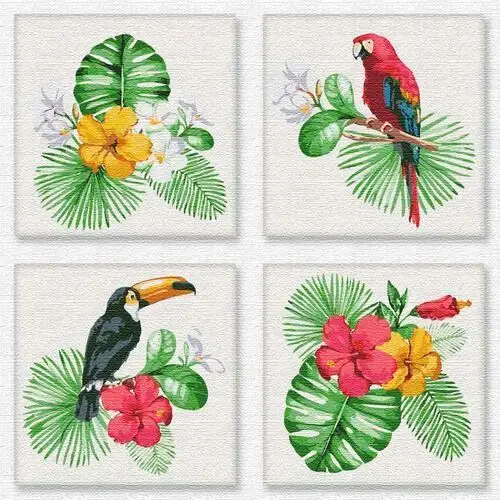Malowanie po numerach 4obrazy 18x18cm ptaki tropik Ideyka