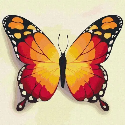 Malowanie po numerach. 'Pomarańczowy motyl' 25х25cm