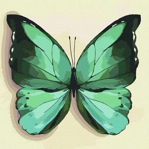 Ideyka Malowanie po numerach. 'zielony motyl' 25х25cm
