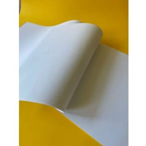 Inny producent Brystol biały 140g a2 (61x43) 10 kartek