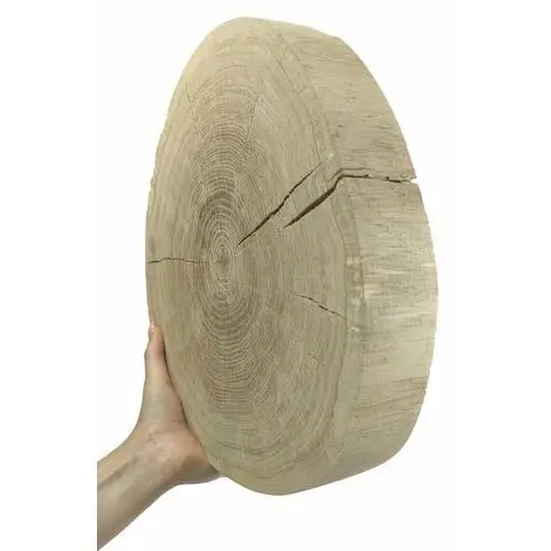 Okorowany plaster dębu 30-35 cm gr. 5 cm szlifowany drewno dębowe naturalny surowy / wamar-sosenka Inny producent