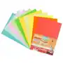 Papier Office color A4/200-10 mix Sklep