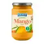 SALVEST Family BIO Mango 100%, 450 g Sklep