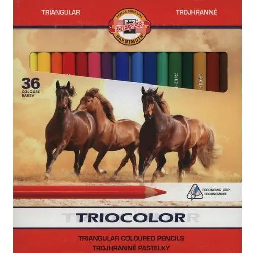 Koh-i-noor Kredki triocolor, 36 kolorów