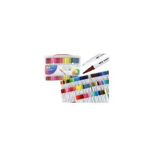 Leantoys Pisaki dwustronne w organizerze 100 kolorów