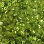 Cekiny okrągłe holograficzne 9mm 15g - jasne zielone Loveart Sklep