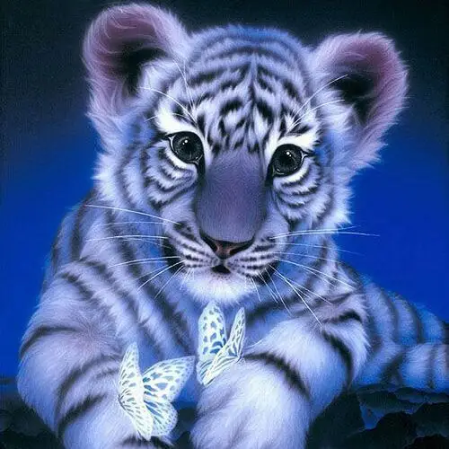 Moments Haft diamentowy słodki tygrysek 35x35 cm