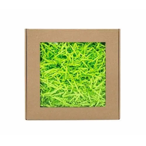Wypełniacz papierowy pak ziel. neon 0,2 kg + box