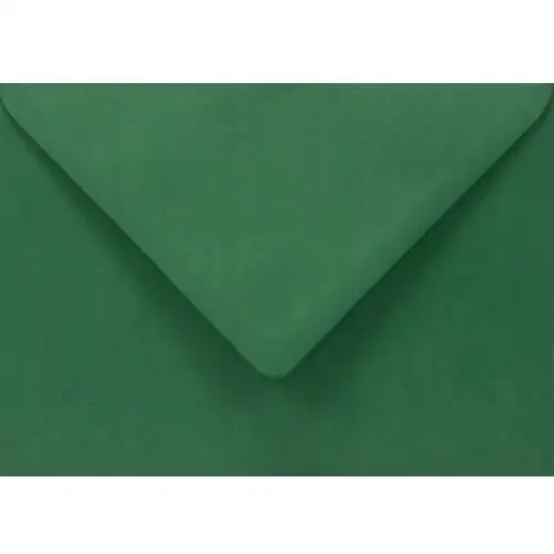 Netuno Koperty ozdobne gładkie b6 nk c. zielone sirio color foglia 115g 25 szt. - na zaproszenia w stylu boho laurki dla dzieci