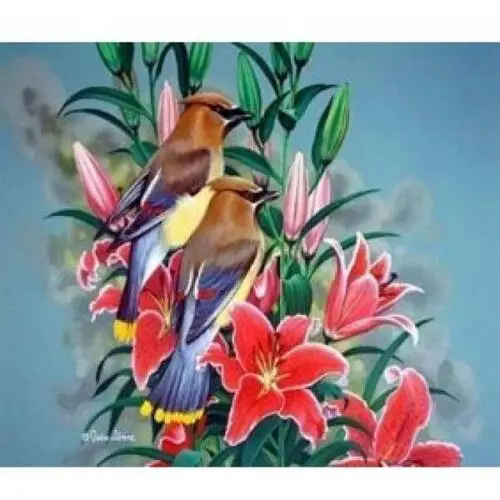 Malowanie po numerach ptaszki na gałęzi 40 x 50 5644 Norimpex