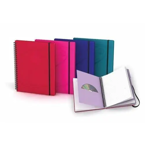 Kołonotatnik Oxford Organiserbook A5+/80k Linia