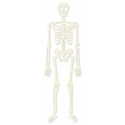 P13 Ozdoba halloweenowa - szkielet, s, 1kpl