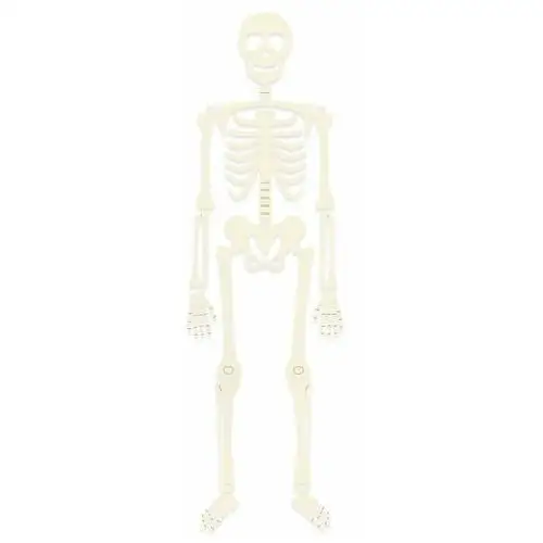 Ozdoba halloweenowa - szkielet, xl, 1kpl