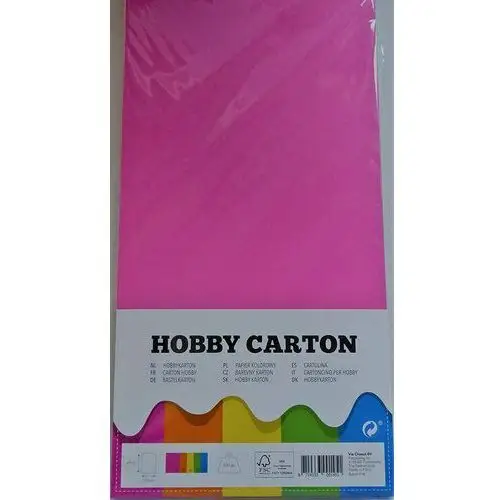PAPIER kolorowy 40 szt hobby carton 27x13,5 kolory