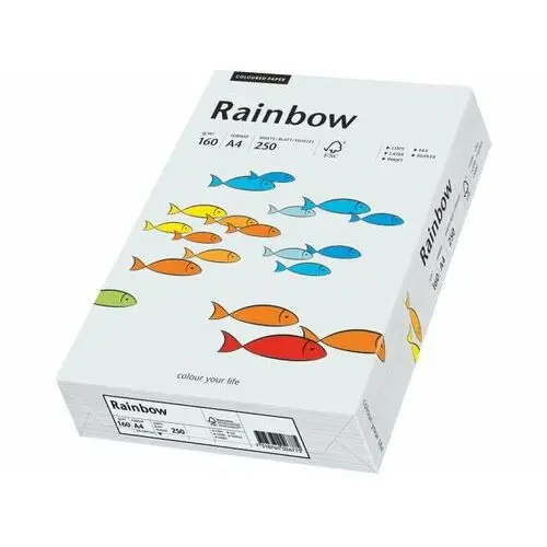Papier Rainbow A4 160g jasno szary R93