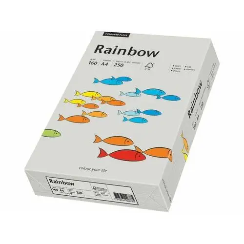 Papier Rainbow A4 160g szary R96