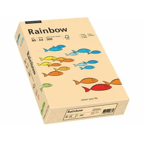 Papier Rainbow A4 80g łososiowy R40