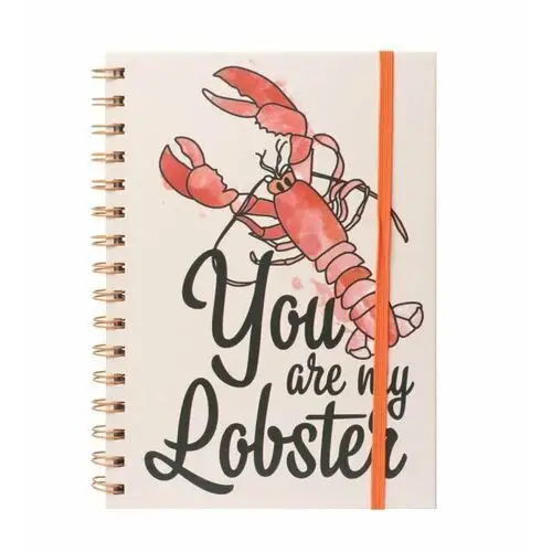 Pyramid posters Friends you are my lobster notes a5 na spirali 14,8x21 cm