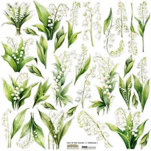 Naklejki papierowe 24x24 scraplove - lily of the valley 3 konwalie Scraplove.pl