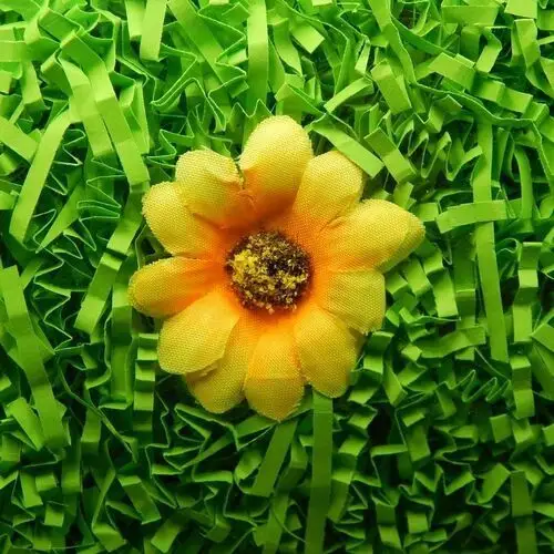 Siima Wypełniacz naturalny dekoracyjny 1 kg zieleń trawy
