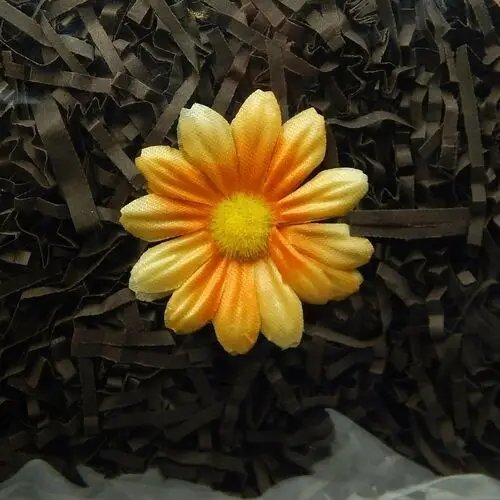 Siima Wypełniacz naturalny dekoracyjny 100g ciemny brąz