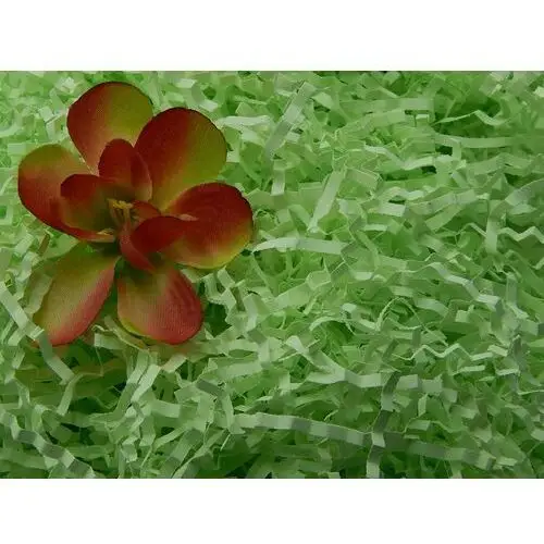 Wypełniacz naturalny dekoracyjny 100g seledynowy Siima