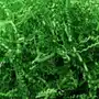 Siima Wypełniacz naturalny dekoracyjny 500g c. zielony Sklep