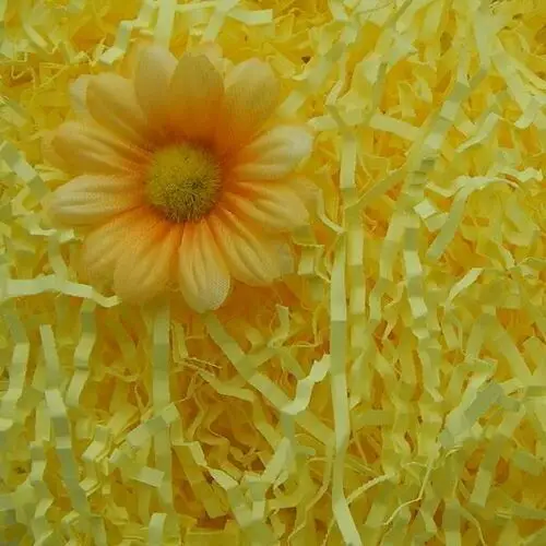 Wypełniacz naturalny dekoracyjny jasno żółty Siima