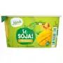 Sojade Deser sojowy mango - brzoskwinia bezglutenowy bio 150 g Sklep