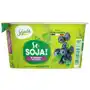 DESER SOJOWY Z BORÓWKAMI BEZGLUTENOWY BIO 150 g - SOJADE Sklep