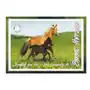 Blok rysunkowy A4 20 k. Horses (p. 20) STARPAK (299163) Sklep