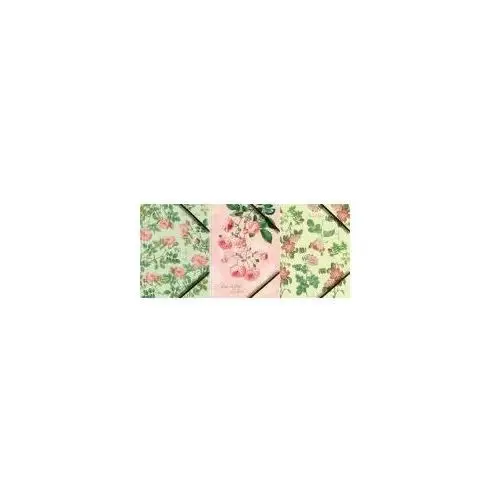 Tetis Teczka A4 kartonowa z gumką narożną róże 6 szt
