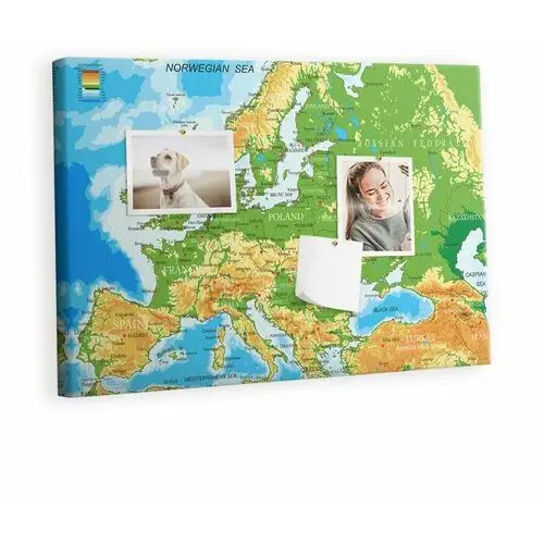 Kolorowy Organizer - Tablica Korkowa z Pinezkami - Geografia Mapa Świata 60x40 cm