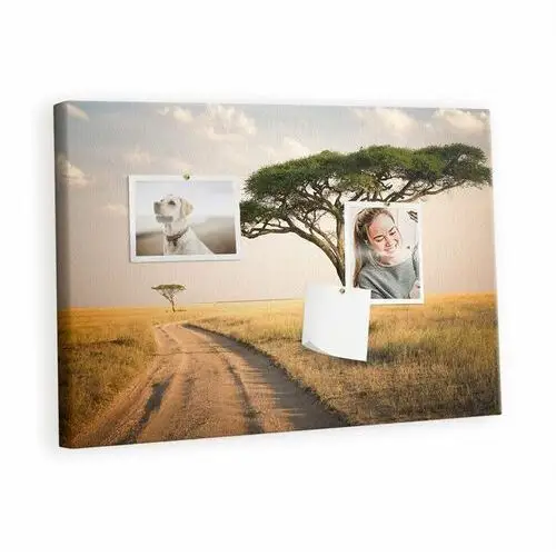 Kolorowy Organizer - Tablica Korkowa z Pinezkami - Krajobraz Afryki 60x40 cm