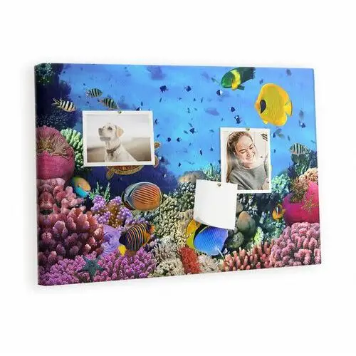 Kolorowy organizer - tablica korkowa z pinezkami - podwodne życie 60x40 cm Tulup