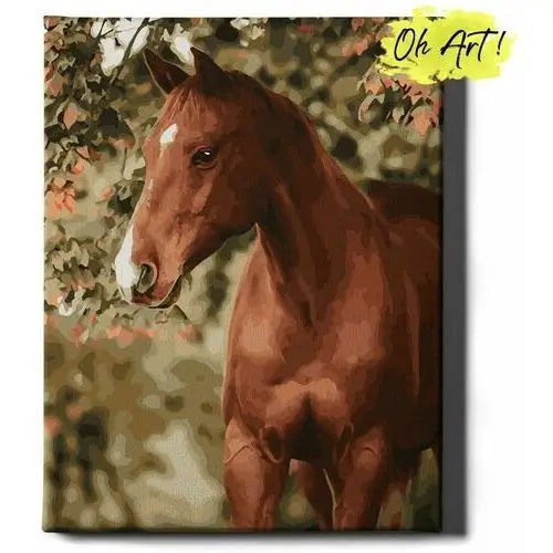 Obraz Malowanie Po Numerach 40X50 Cm / Koń W Ogrodzie / Oh Art