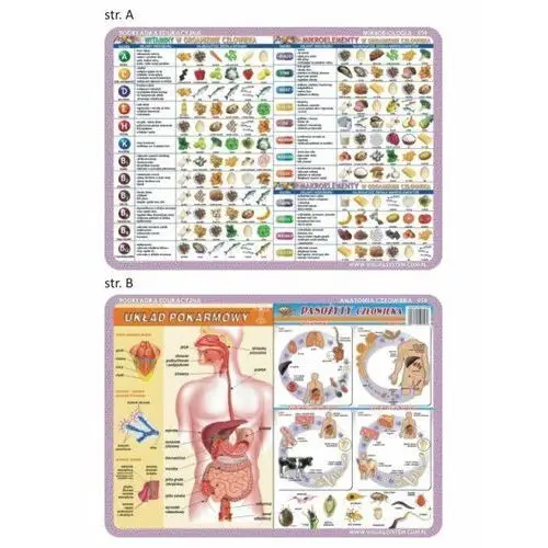 Podkładka edukacyjna - anatomia człowieka i mikrobiologia 056