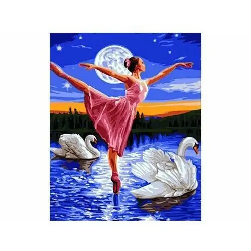 Obraz Malowanie Po Numerach Rama 40X50Cm Jezioro Łabędzie
