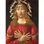 Naprasowanka Botticelli Termo Naklejka Aplikacja Sklep