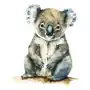 Zebra Naprasowanka koala, sztuka, modna 2 modna Sklep