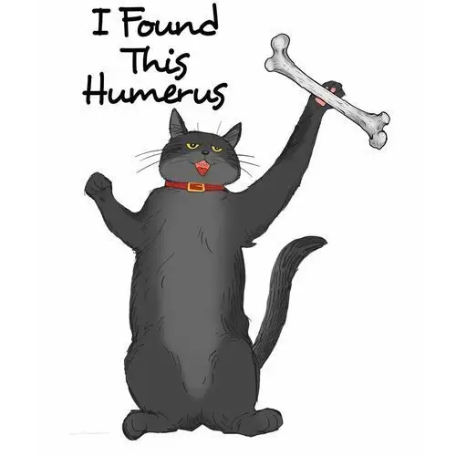 Zebra Naprasowanka kot kotek meme śmieszny zabawny 21