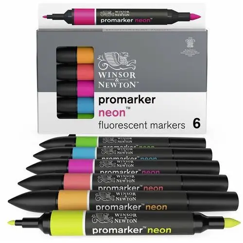 Zestaw profesjonalnych markerów, Winsor&Newton, 6 sztuk